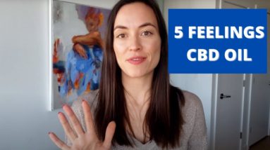 5 Things You Feel From Taking CBD oil