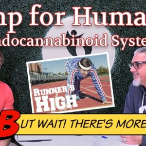 CBD, Cannabinoids, and the Endocannabinoid System | Hemp for Humanity Addendum