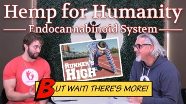 CBD, Cannabinoids, and the Endocannabinoid System | Hemp for Humanity Addendum