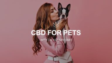 CBD for Pets with Dr. Hillary Hart