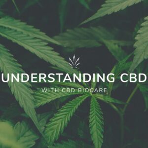 Understanding CBD