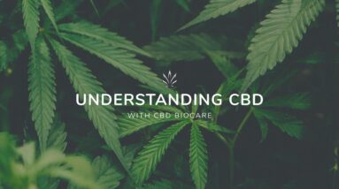 Understanding CBD